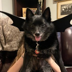 Meet your Posher, Margie